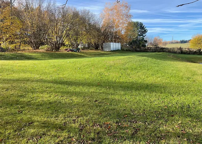 Sunny Garden